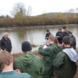 Gestion ripisylve bord de Dordogne