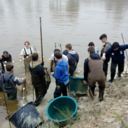 Pêche d'étang ENS La Jemaye